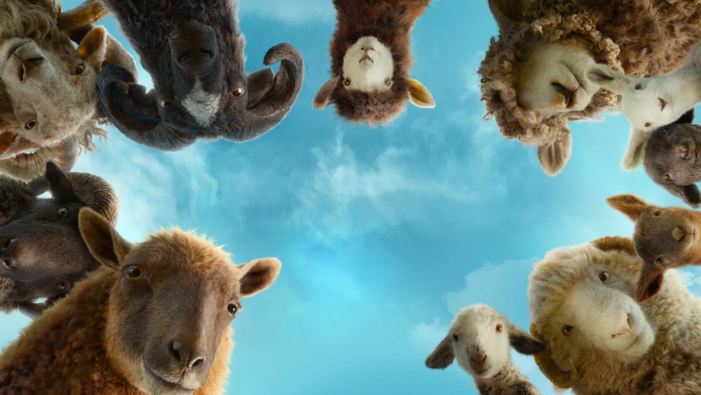 Backdrop Les Moutons détectives