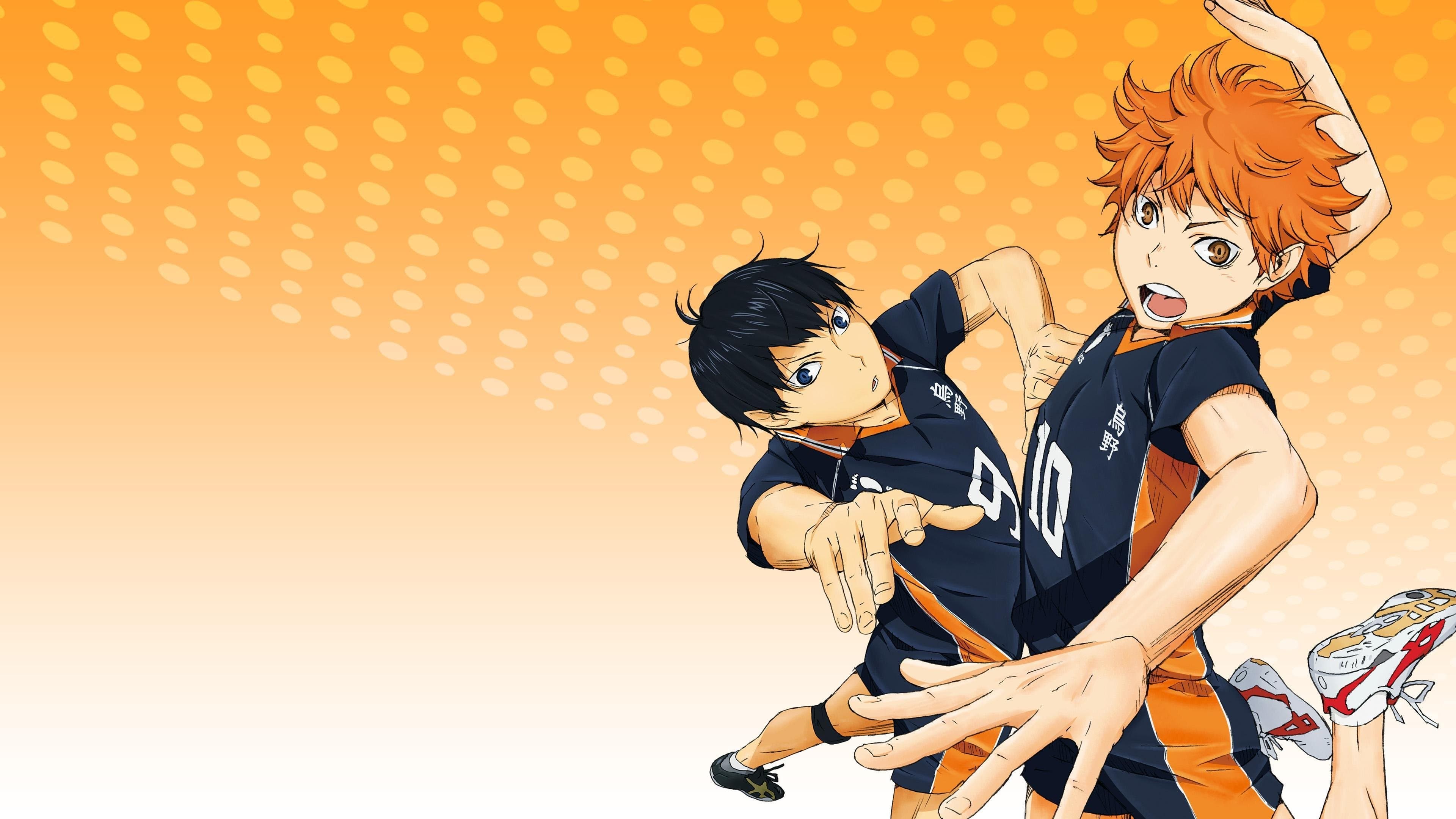 Backdrop Haikyu!!